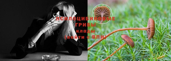 герыч Заводоуковск