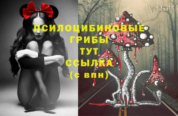 герыч Заводоуковск