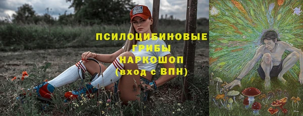 гидра Заволжье
