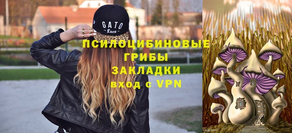 гидра Заволжье