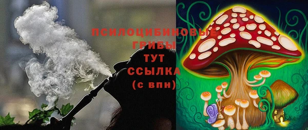 гидра Заволжье