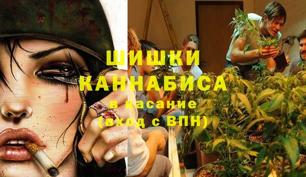 гидра Заволжье