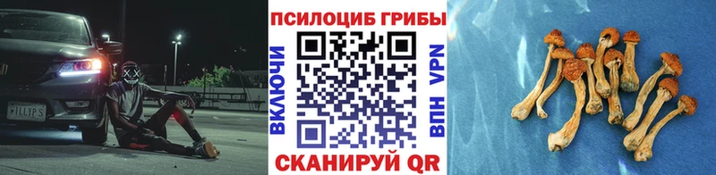 Галлюциногенные грибы Cubensis  Купить закладки  Петушки 
